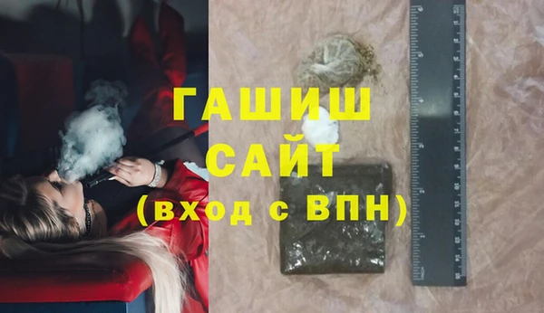 индика Богородицк