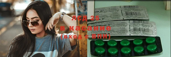 индика Богородицк