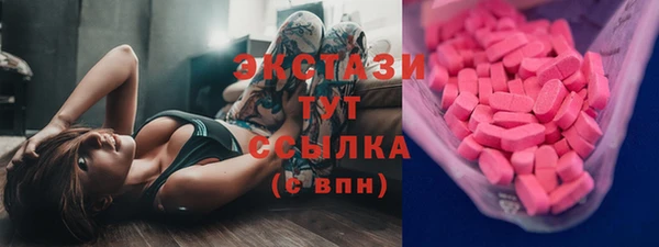 индика Богородицк