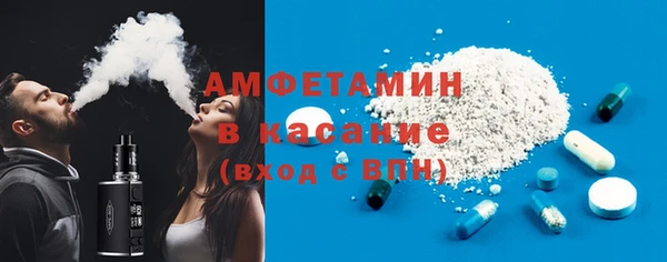 индика Богородицк