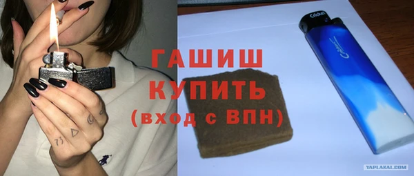 индика Богородицк