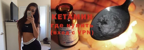 индика Богородицк