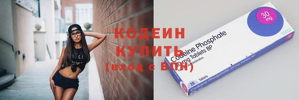 индика Богородицк