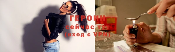индика Богородицк