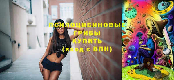 индика Богородицк