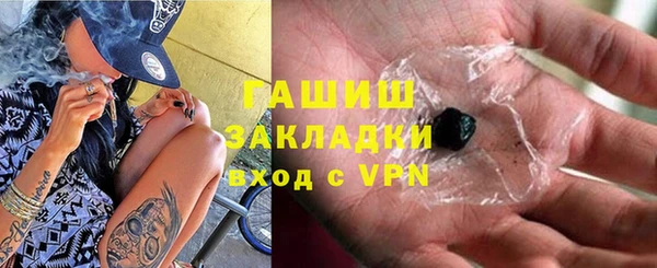 индика Богородицк