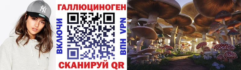 KRAKEN ССЫЛКА  как найти   Сыктывкар  Псилоцибиновые грибы мухоморы 
